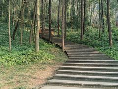 -青城山