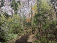 -凤栖山