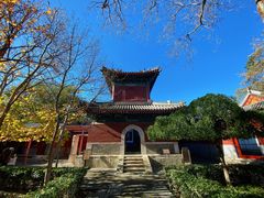 -北京艺术博物馆(万寿寺)