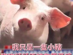 -眷江南之小蓝鲸(王府大街店)