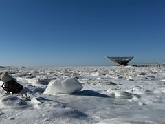 -鸿宇海鲜烧烤(红海新区店)