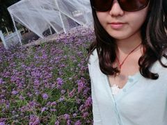 android_upload_pic-紫海香堤香草艺术庄园