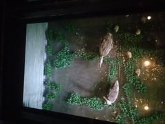 -上海崧泽遗址博物馆