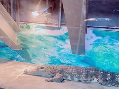 -成都浩海立方海洋公园