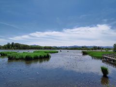 -野鸭湖国家湿地公园