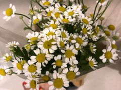 -蛋多多精神饼新派鸡蛋饼(三台子店)