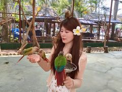 -西双版纳傣族园