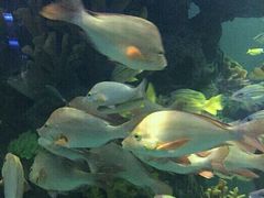 -多彩贵州城极地海洋世界