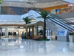 -格瑞思动物奶油生日蛋糕(圆融店)