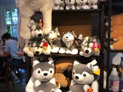 -TrueLove @ Neverland (Husky Cafe)