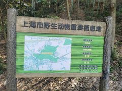 -上海佘山国家森林公园天马山园