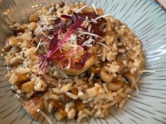 -IL Forno 意坊·意大利餐厅(花园店)