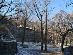 -阳台山自然风景区