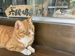 -陕拾叁(袁家村店)