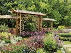 -上海共青森林公园