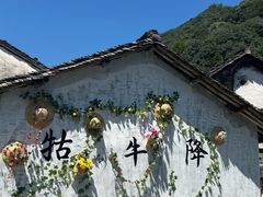 -石台牯牛降景区