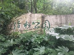 -成都市活水公园