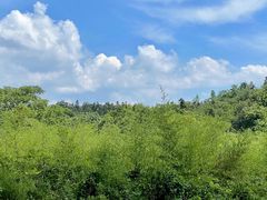 -宜兴龙背山森林公园