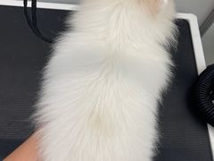 -comecome来吧宠物(奥克斯中心店)