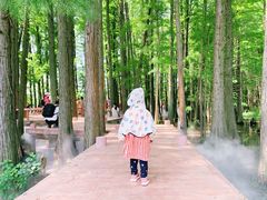 -东湖落雁景区