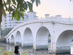 -万绿园