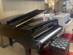 -柏斯音乐艺术中心·钢琴·吉他(上音店)