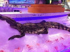 -澜悦港海鲜体验主题餐厅