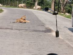 -西安秦岭野生动物园