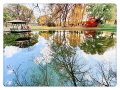 -上海共青森林公园