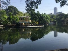 -晓港公园