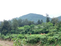 -大姆山草场