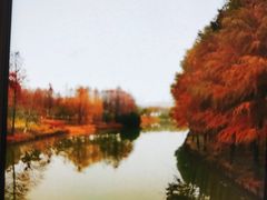 -尚贤河湿地