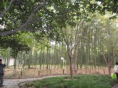 景点-汇龙潭