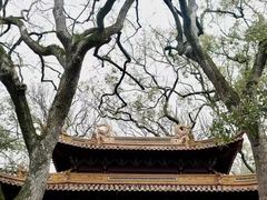 -普陀山风景名胜区-法雨禅寺