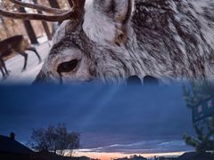 -北极村旅游风景区