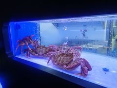 -澜棠海鲜(余姚阳明古镇店)