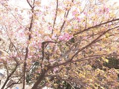 -西安交通大学(雁塔校区)