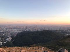 -长虫山生态公园风景林