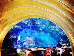 -迪拜帆船酒店海底餐厅