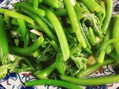 南瓜苗-生态苑农庄(十里画廊遇龙河店)