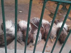 -广东茂名森林公园