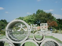 -东平国家森林公园