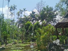 -中国科学院西双版纳热带植物园