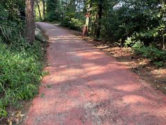 -芦仙山景区-飞越丛林探险乐园