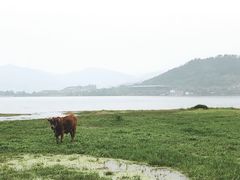 -四明山国家森林公园