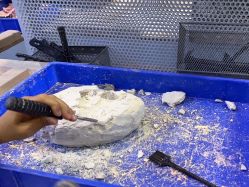 -卡通尼·Safari非洲探索乐园·生日会(金桥国际商业广场店)