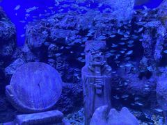 -北海海底世界