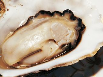 【武汉硚口区鱼鲜】推荐,硚口区鱼鲜排行/大全/攻略-大众点评网