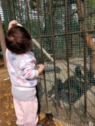 -萌宠亲子动物乐园(槐房万达店)