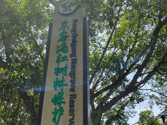 -东寨港红树林旅游区